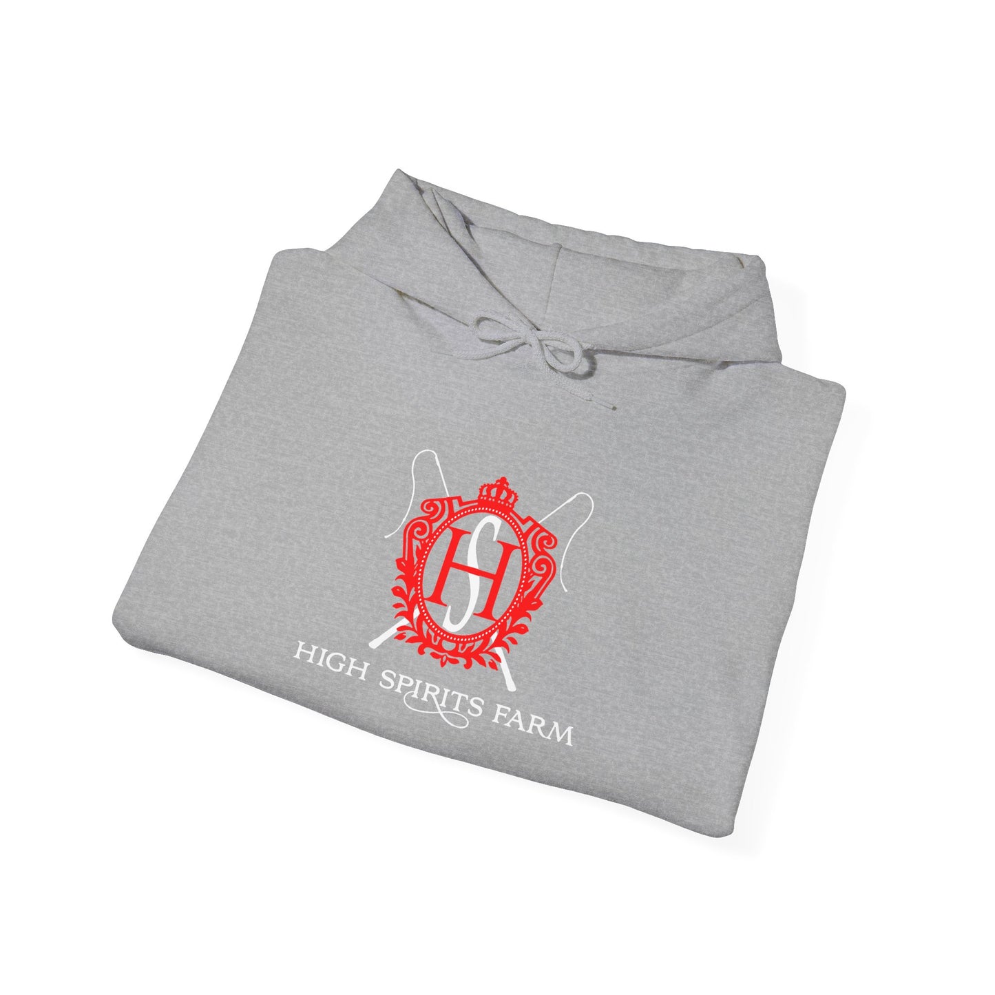 Unisex Heavy Blend™ Hoodie