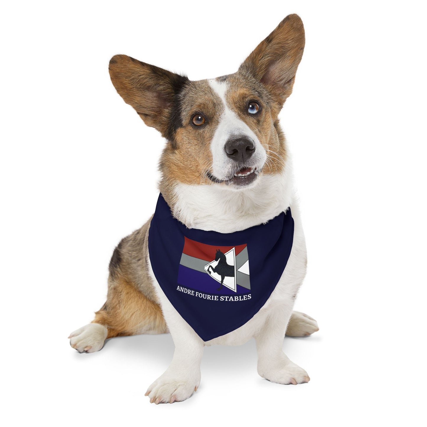 Dog Bandana with Collar
