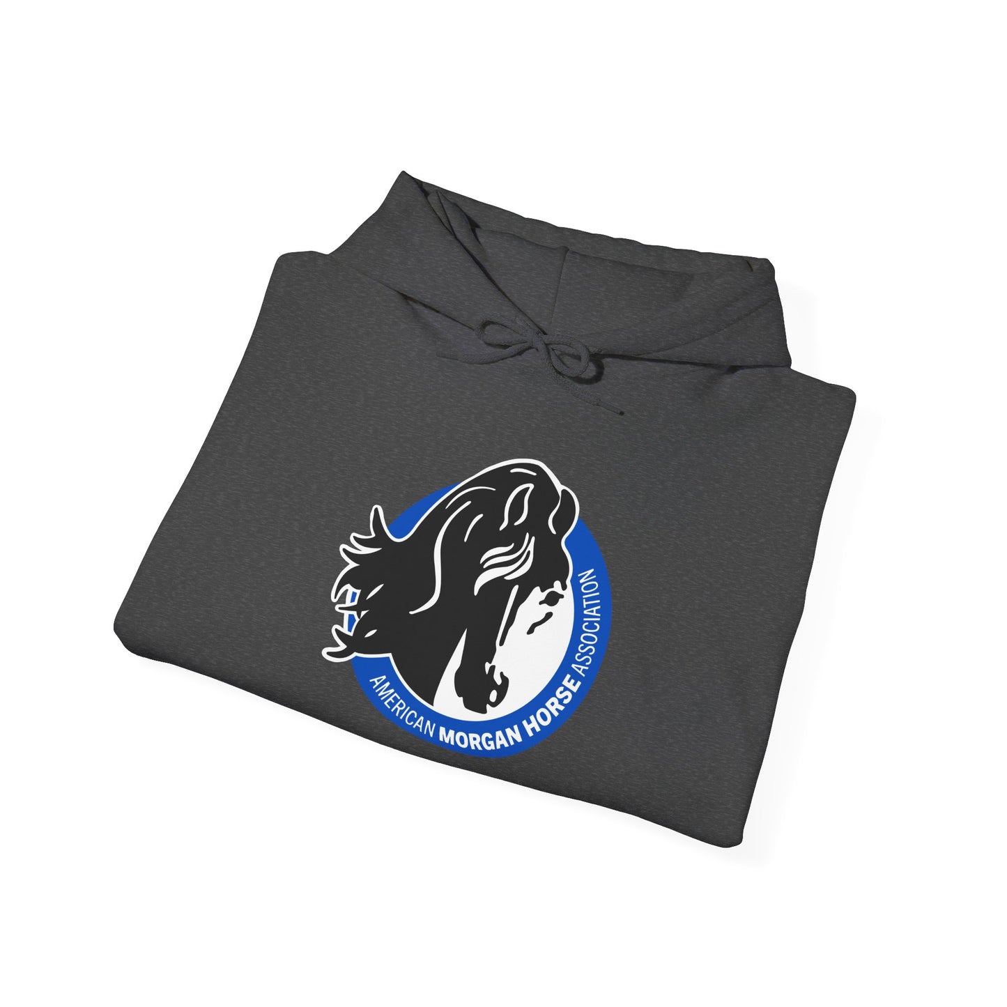 Unisex Heavy Blend™ Hoodie