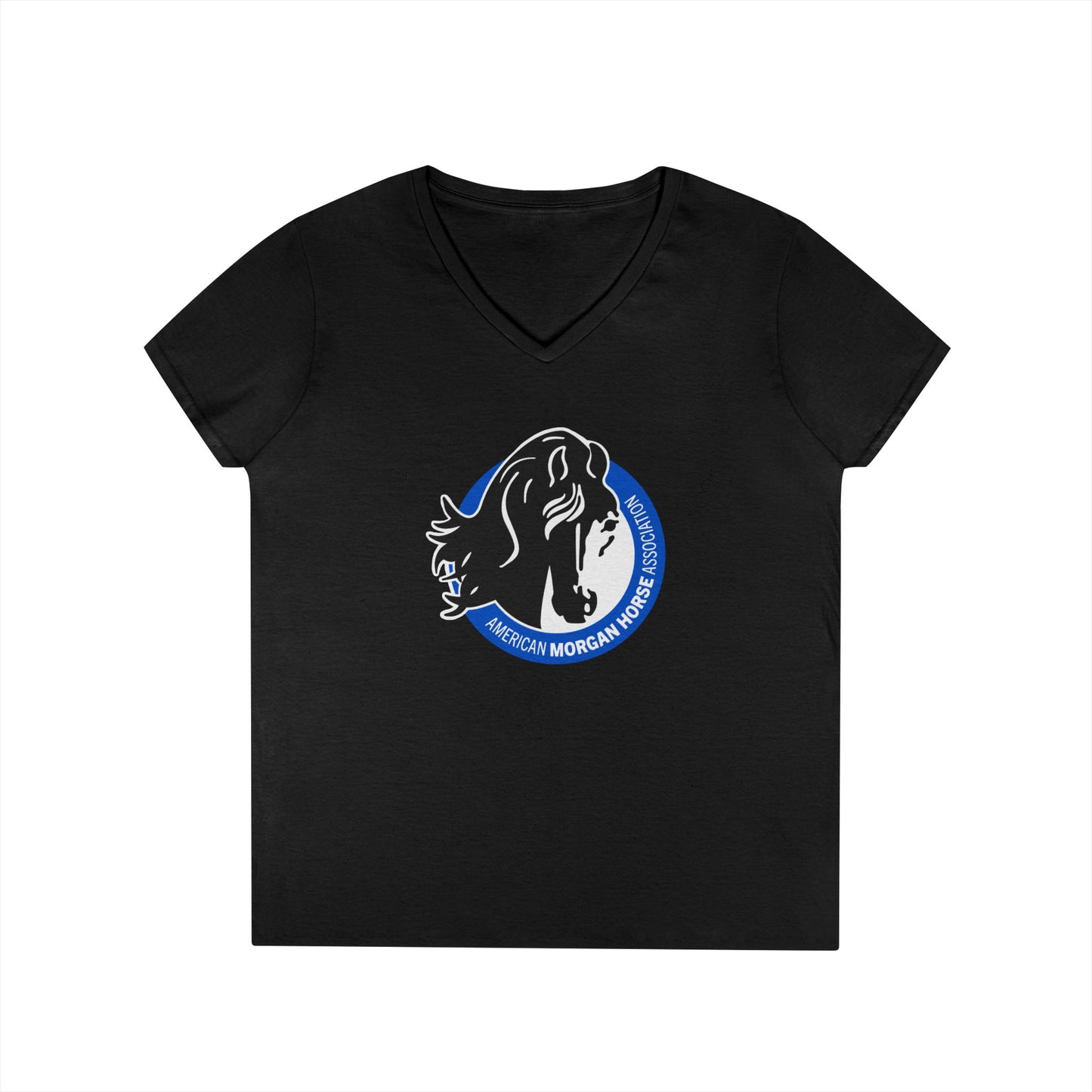 Ladies V-Neck Tee
