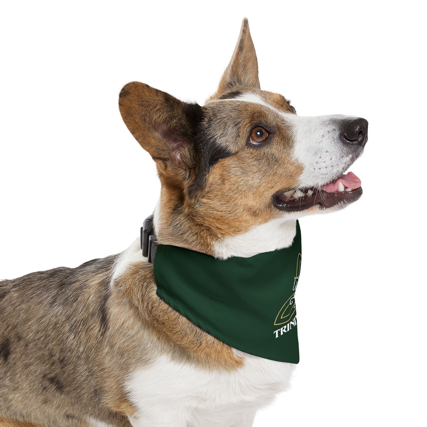Dog Bandana with Collar