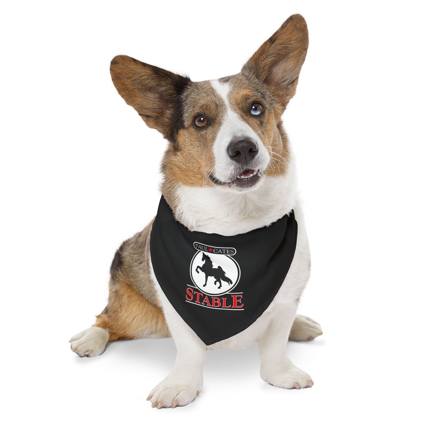 Dog Bandana with Collar