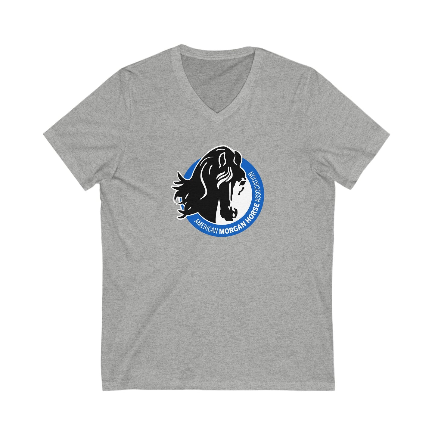 Premium Ladies V-Neck Tee