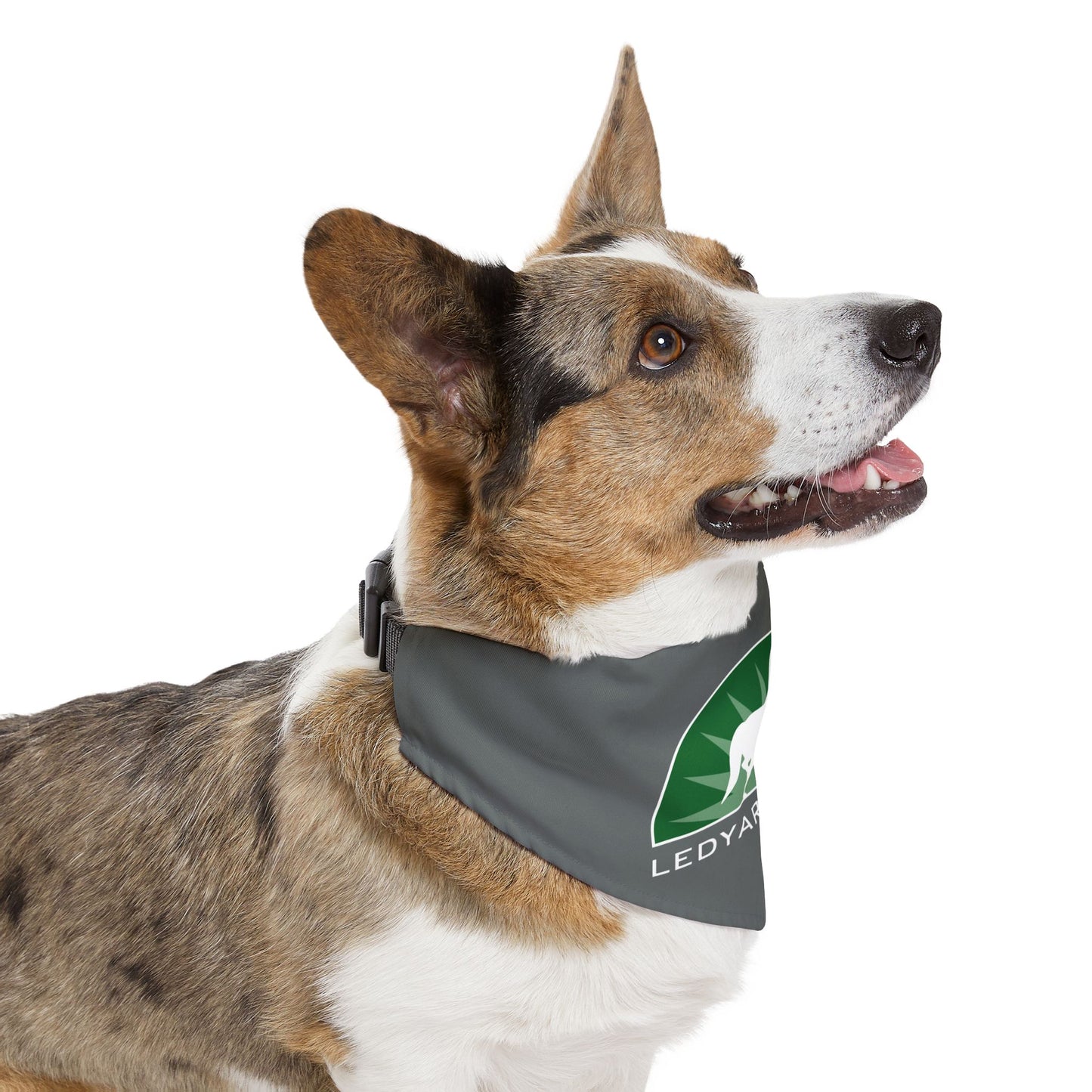 Dog Bandana with Collar