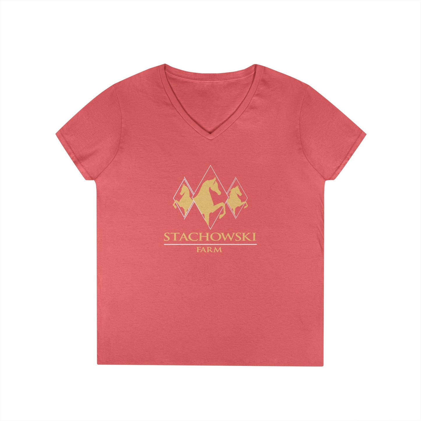 Ladies V-Neck Tee