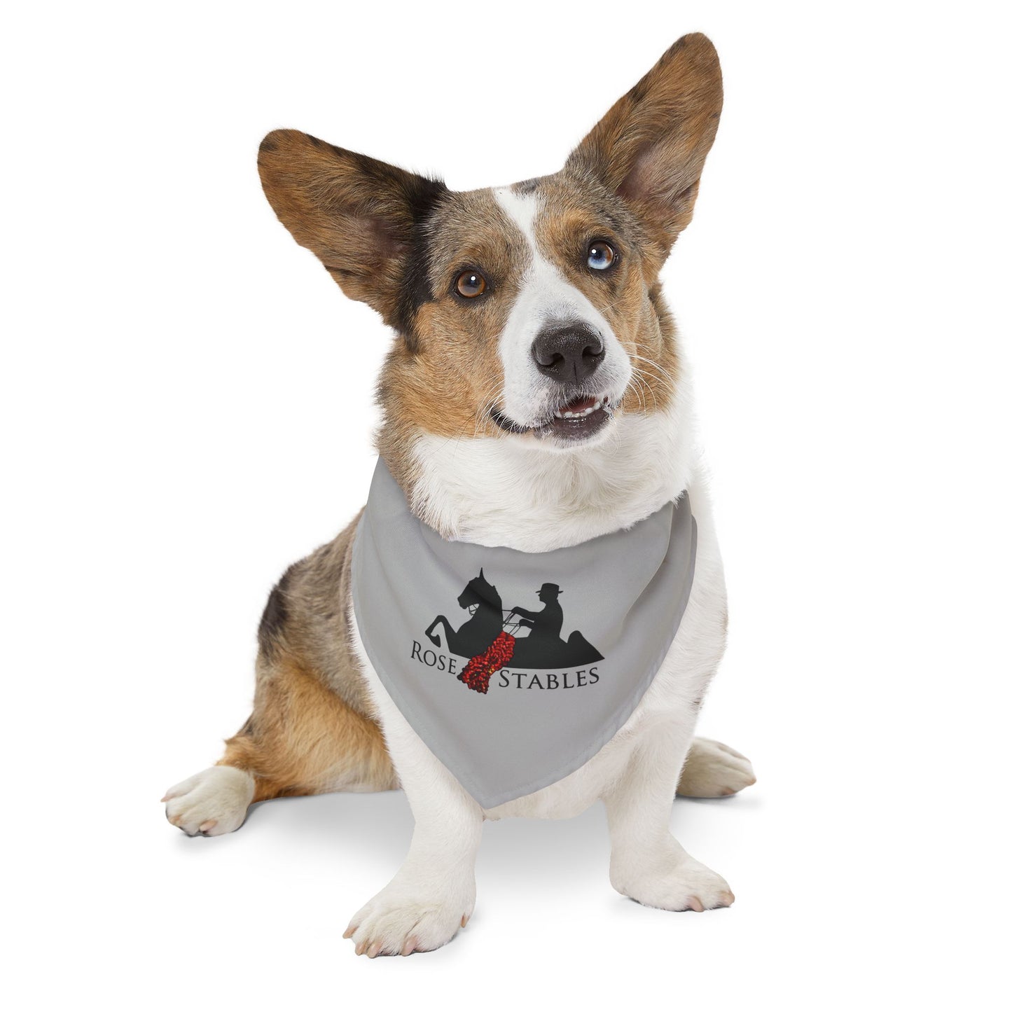Dog Bandana with Collar