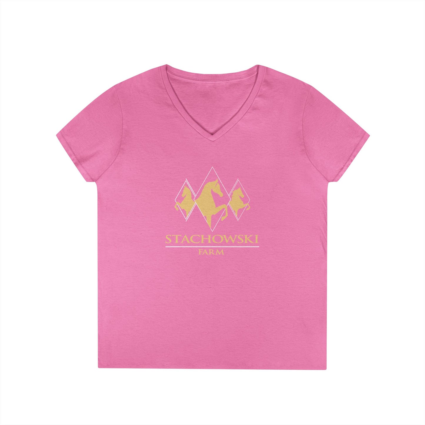 Ladies V-Neck Tee