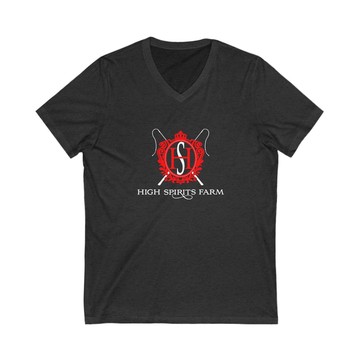 Premium Ladies V-Neck Tee