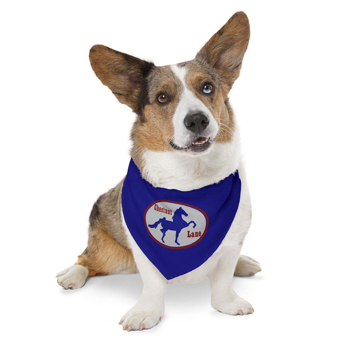 Dog Bandana with Collar