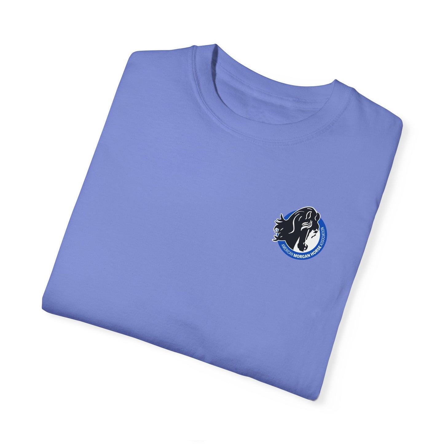 Comfort Colors Tee