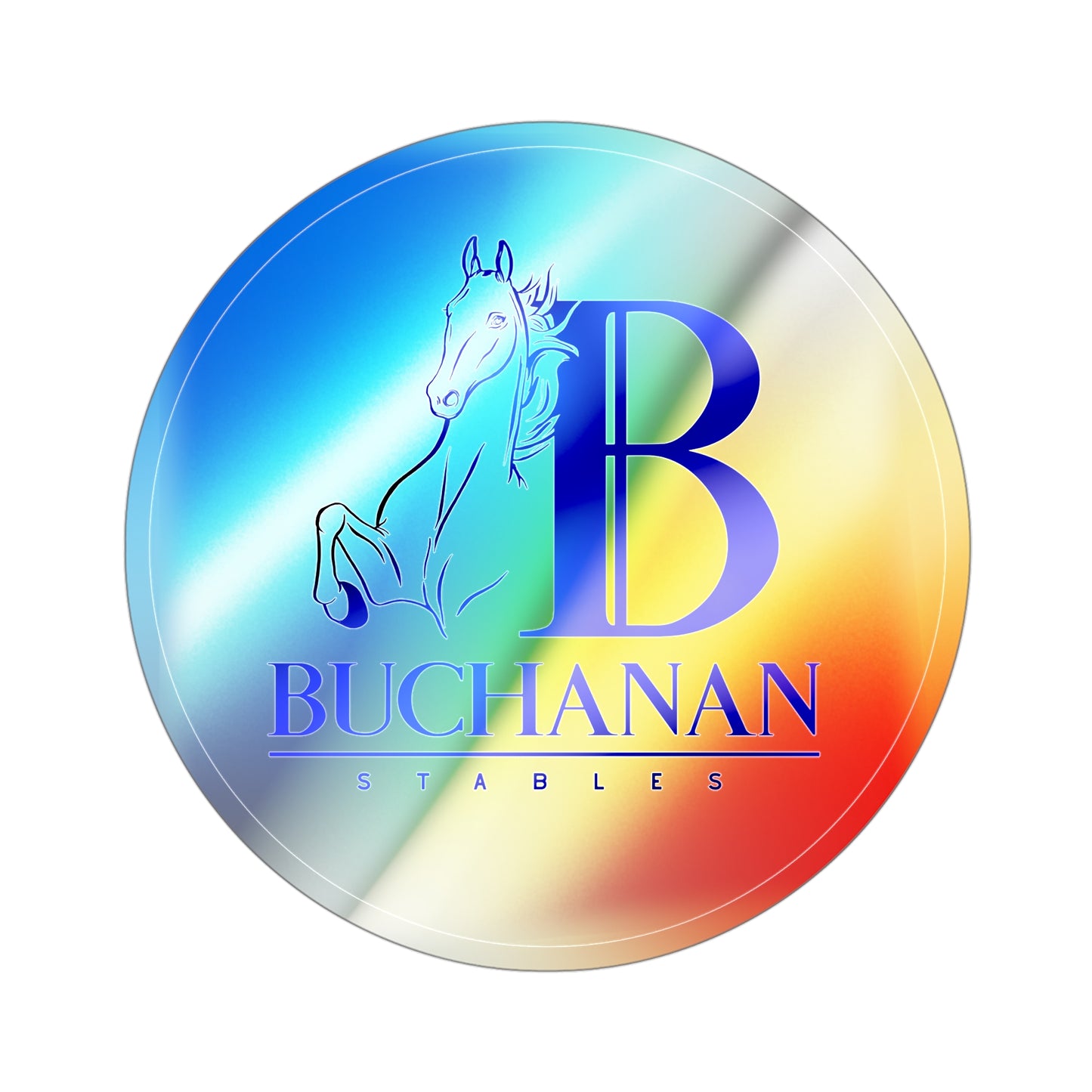 Holographic Sticker 4