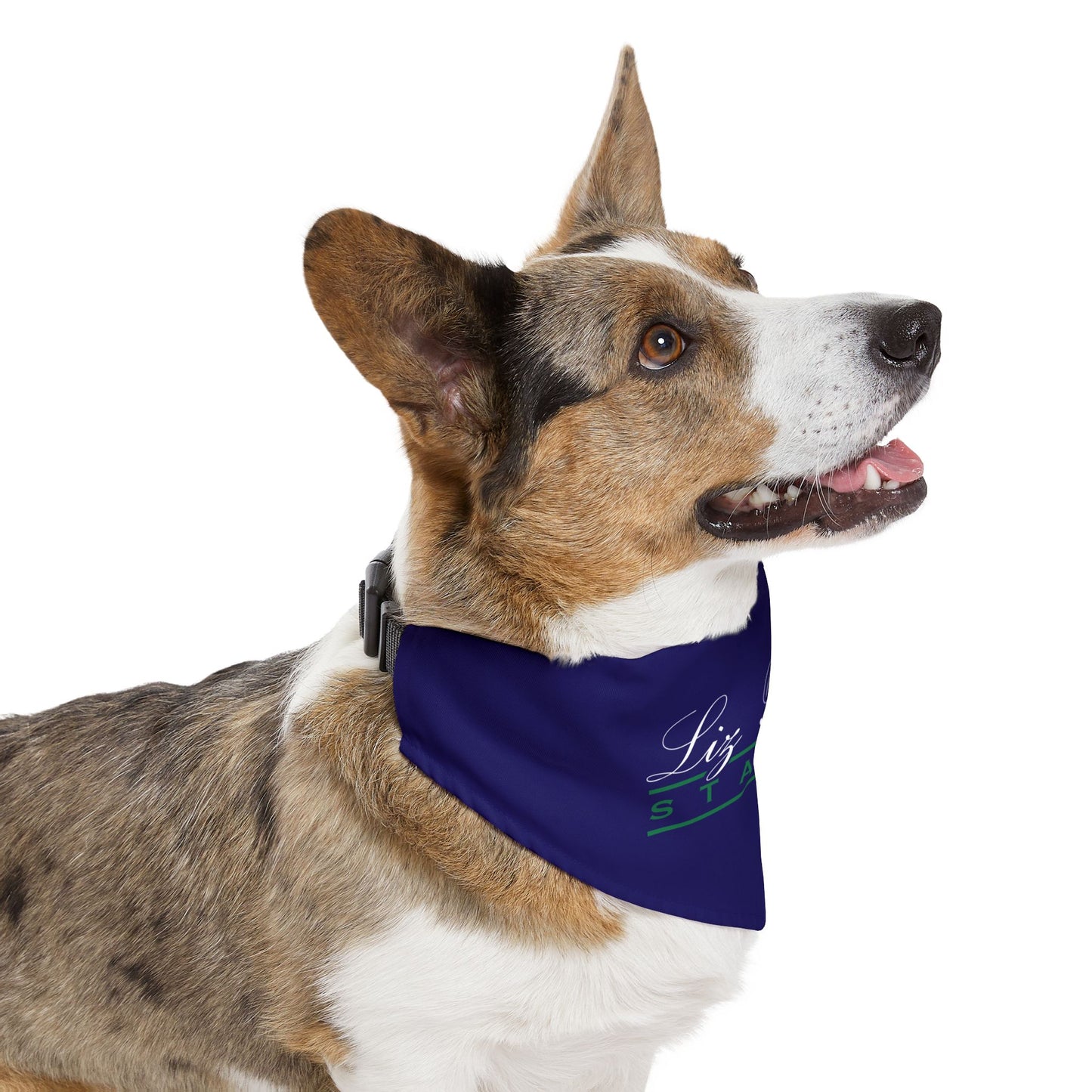 Dog Bandana with Collar
