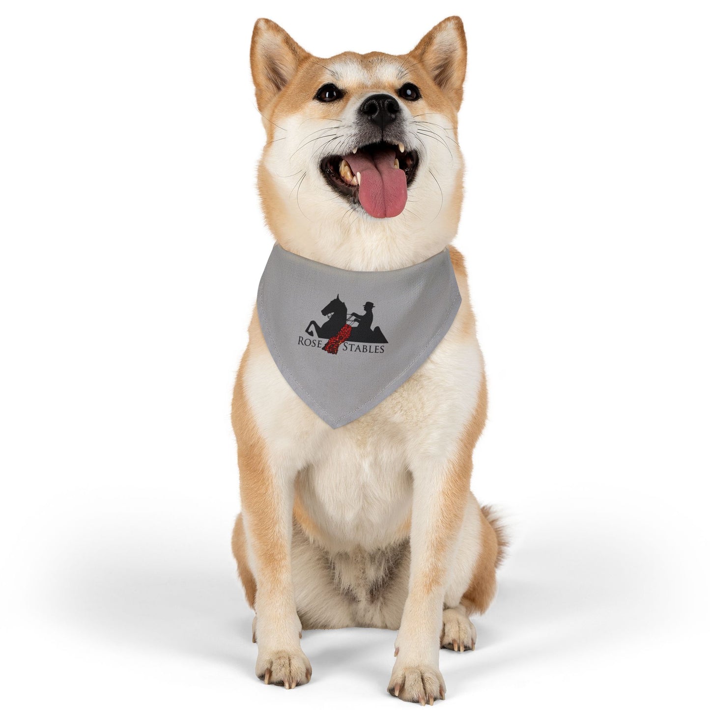 Dog Bandana with Collar