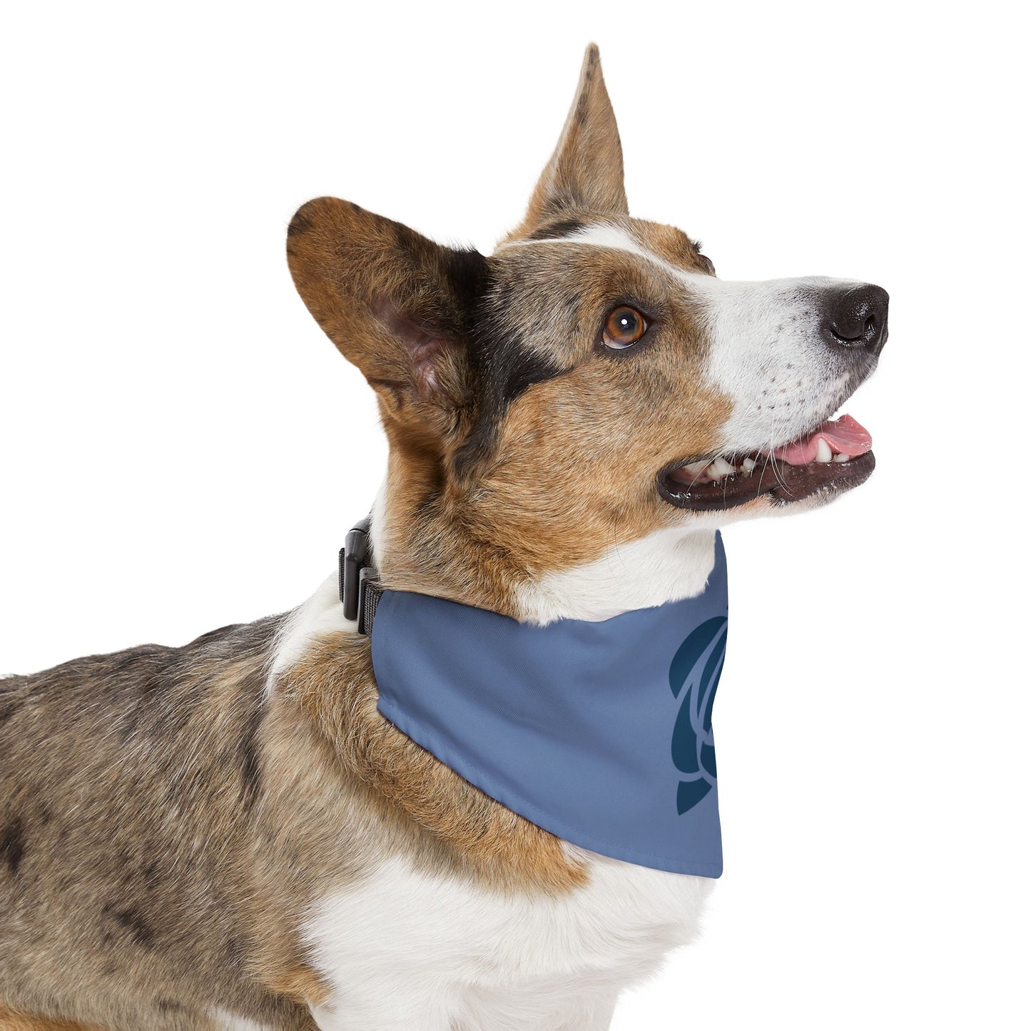 Dog Bandana with Collar