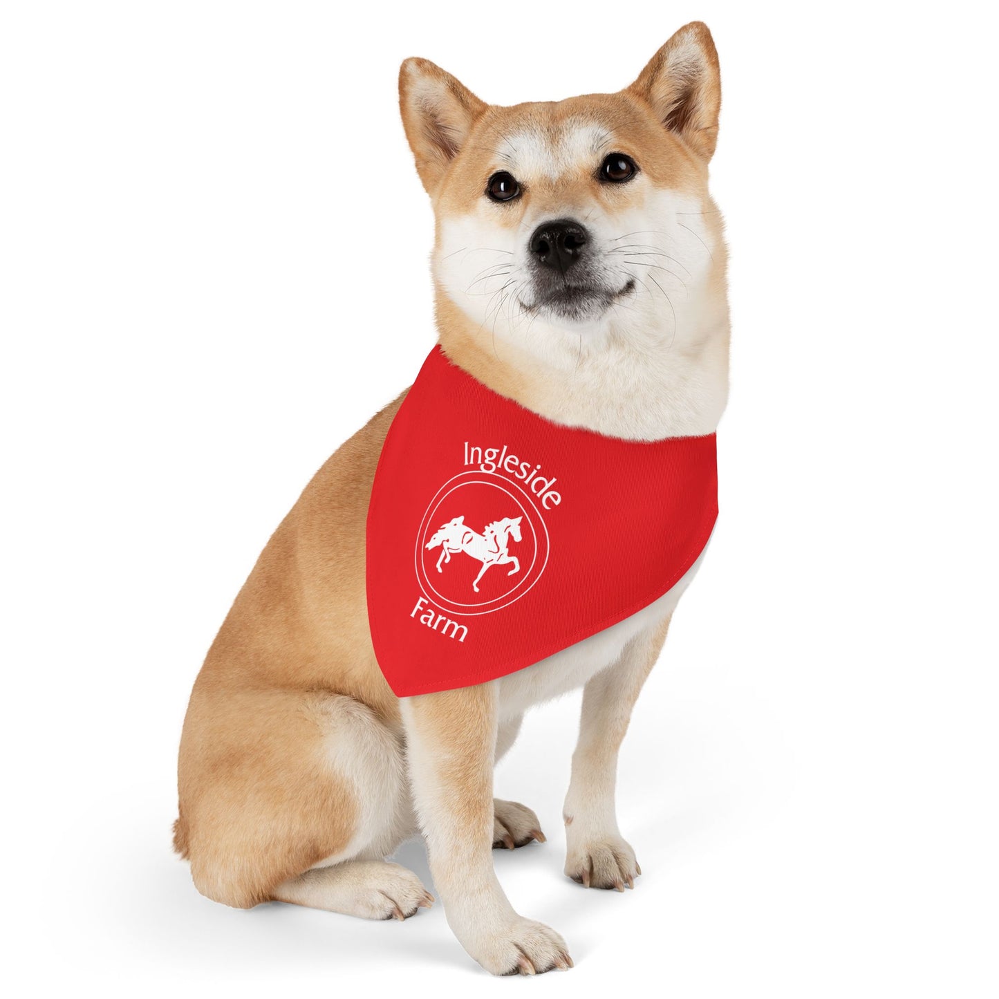 Dog Bandana with Collar