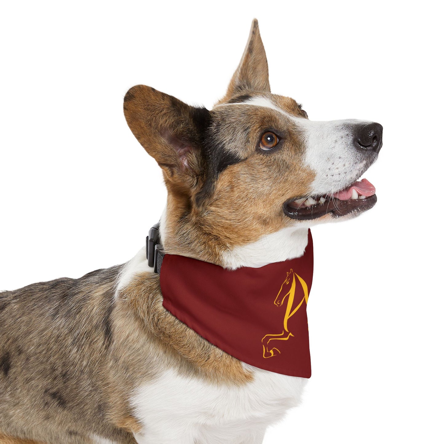 Dog Bandana with Collar