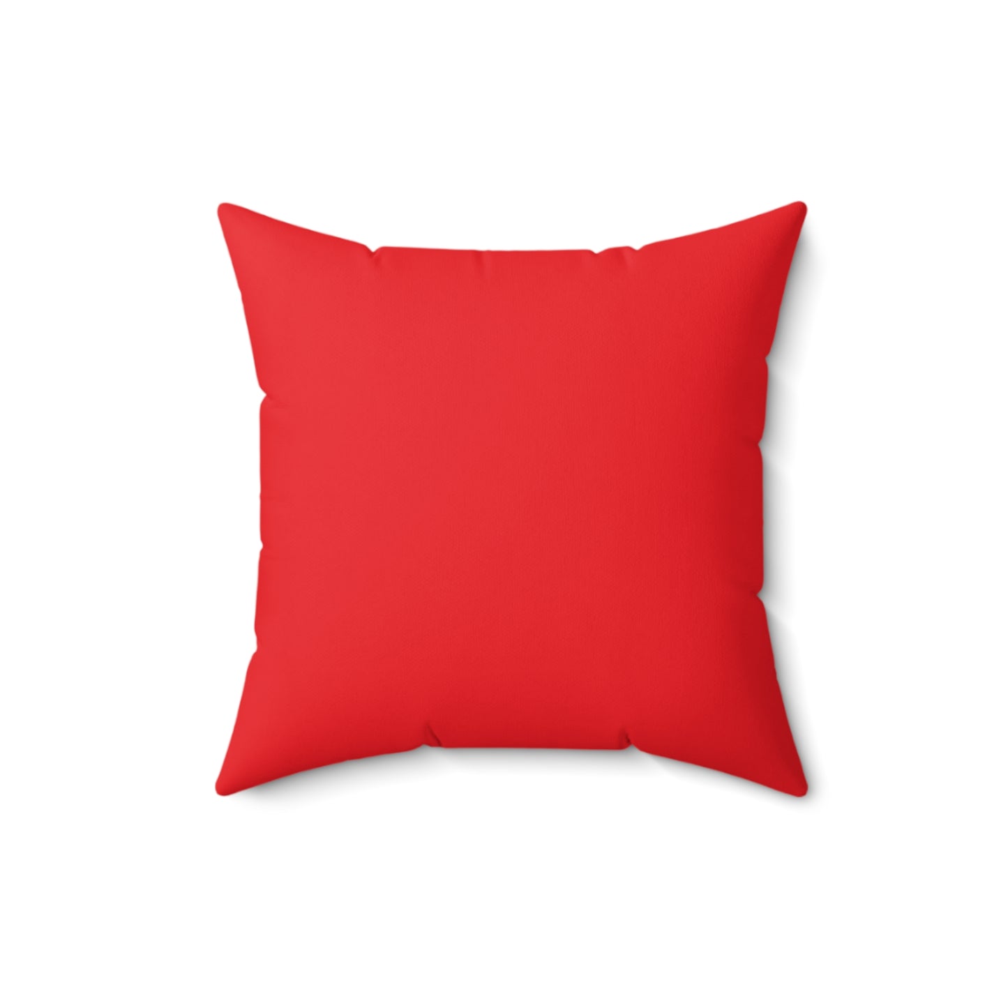 Decorative Pillow