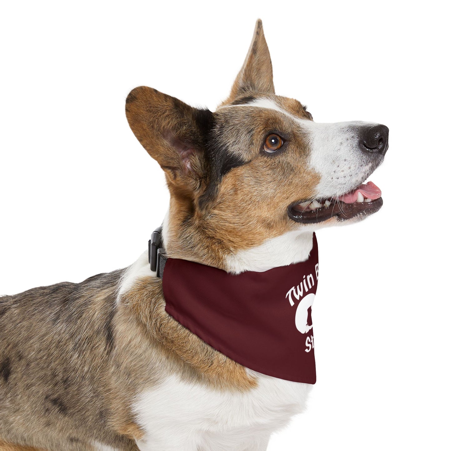 Dog Bandana with Collar