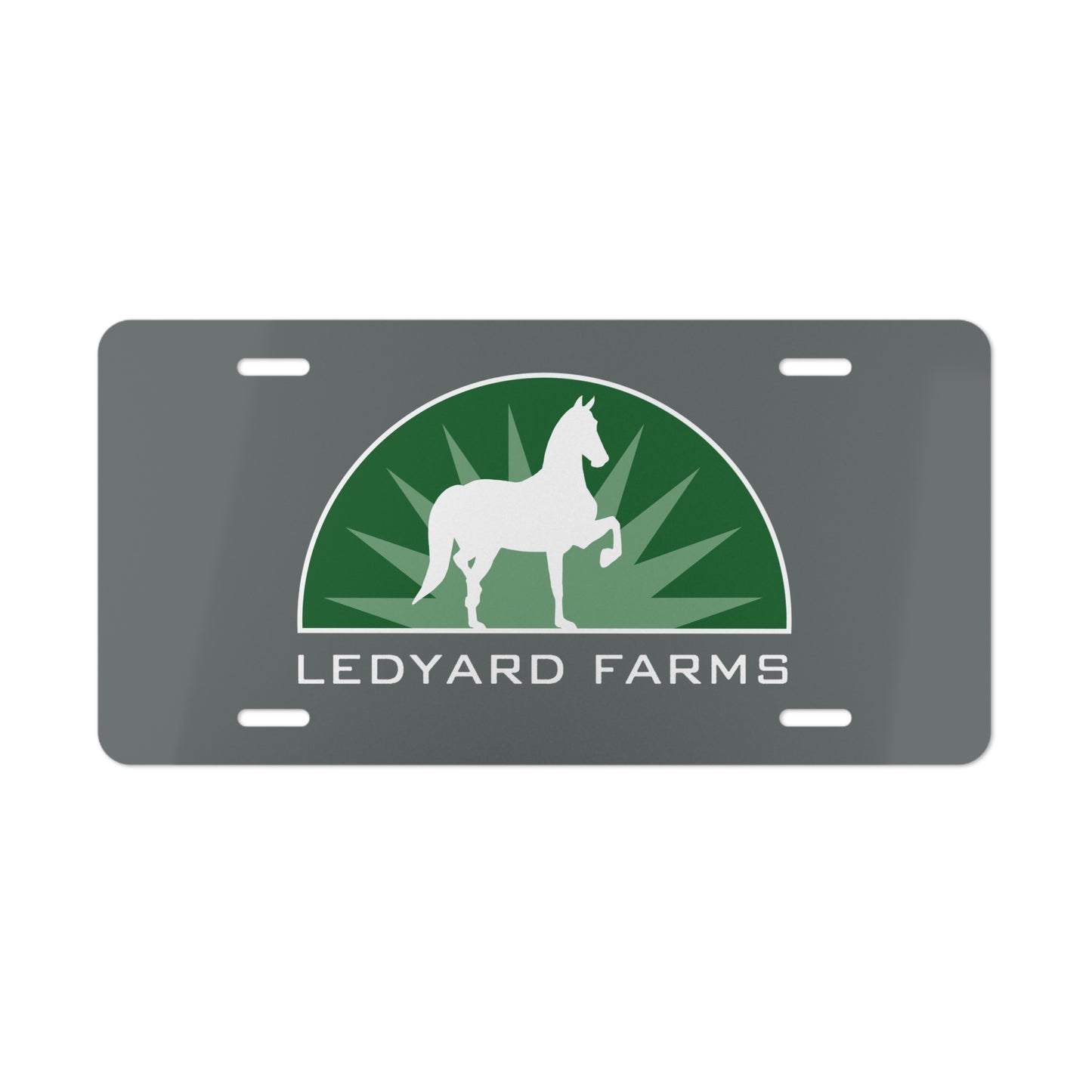 Vanity License Plate