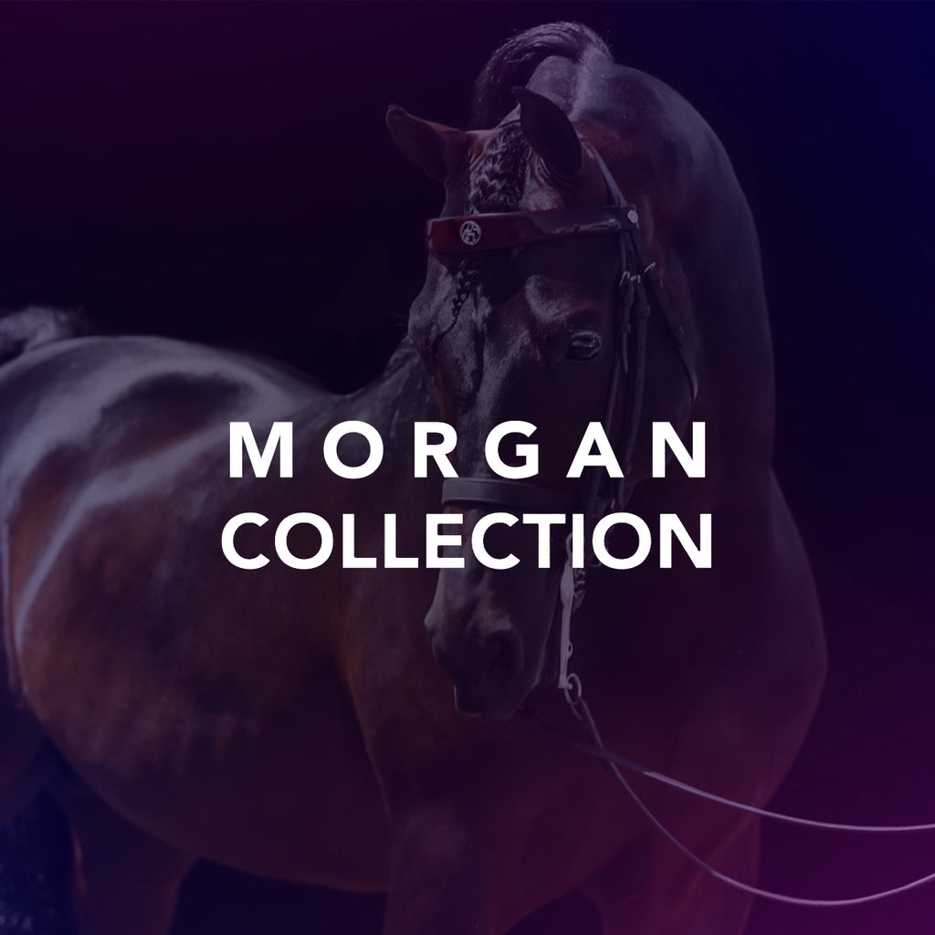 Morgan Collection