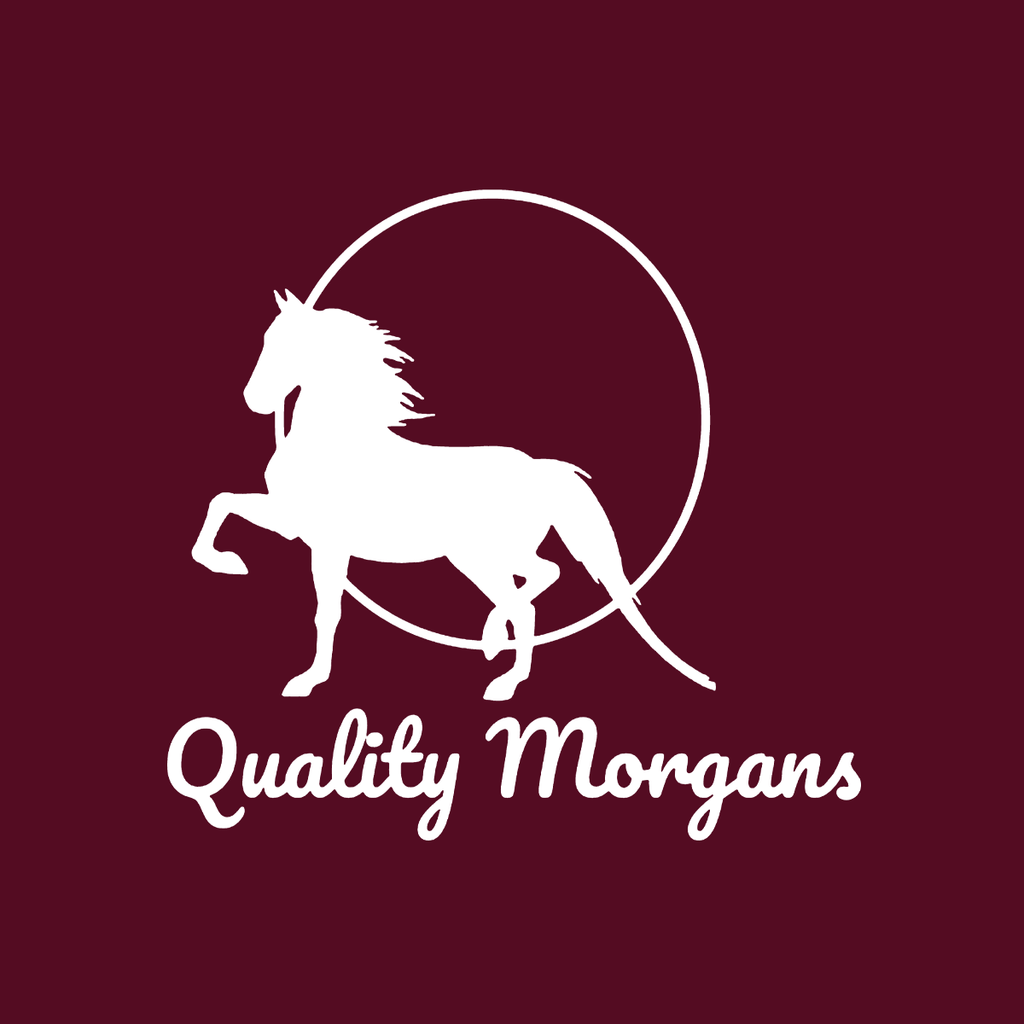Quality Morgans