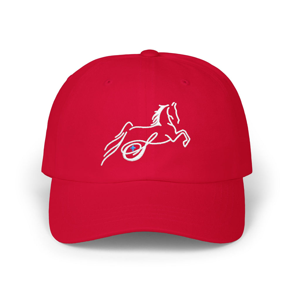 
                  
                    Embroidered Premium Hat
                  
                