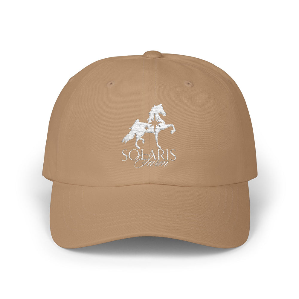 
                  
                    Embroidered Premium Hat
                  
                