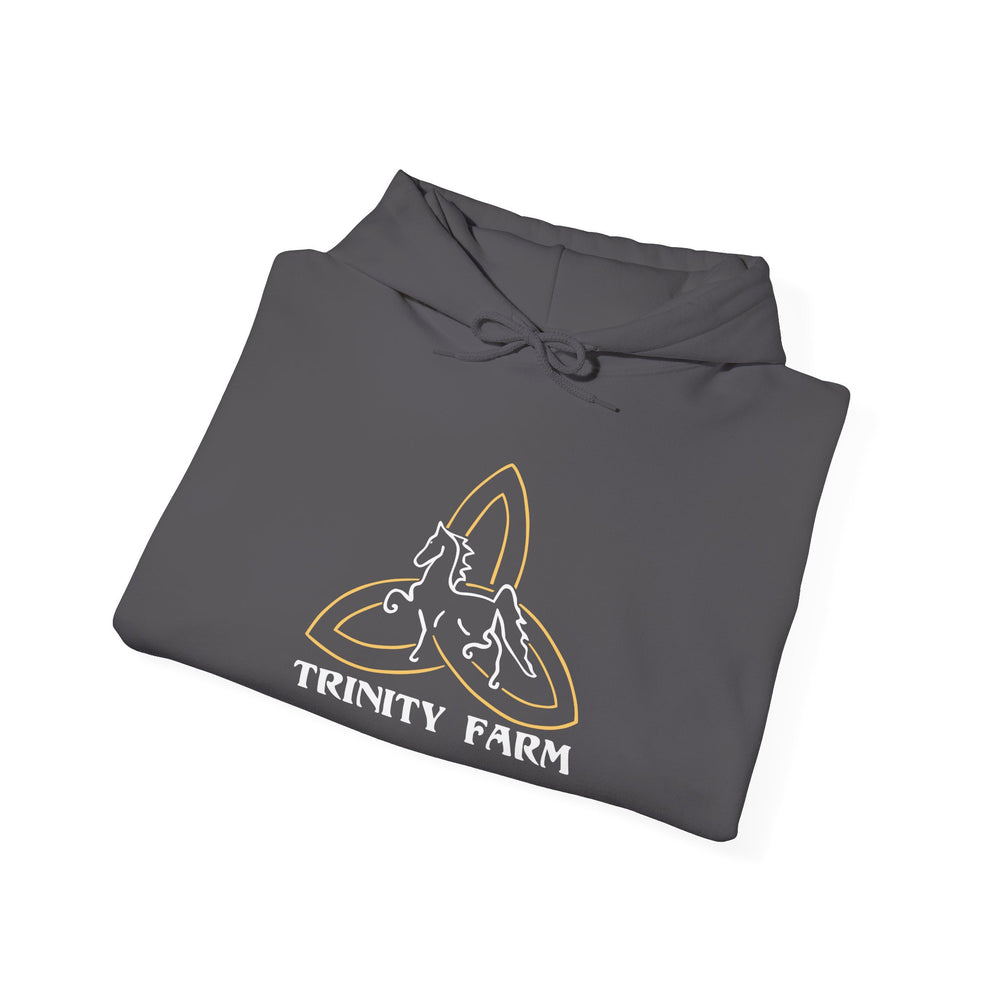 
                  
                    Unisex Heavy Blend™ Hoodie
                  
                
