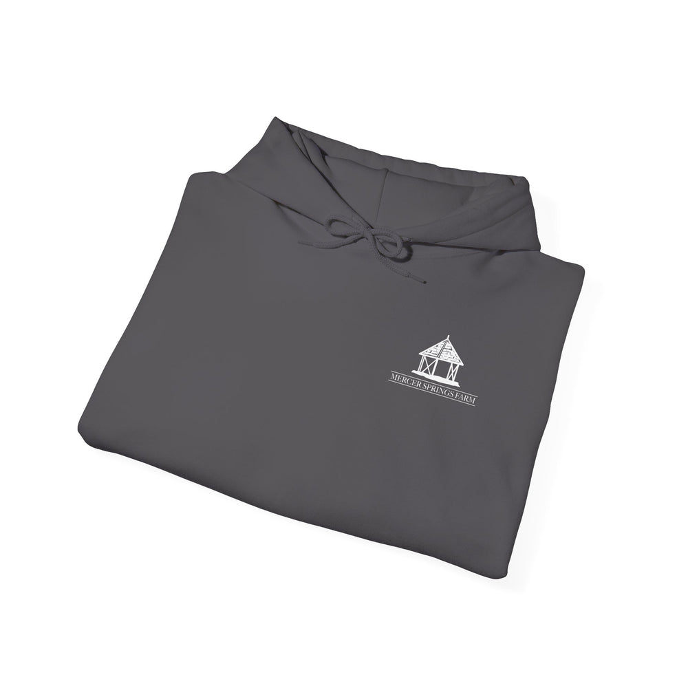 
                  
                    Unisex Heavy Blend™ Hoodie
                  
                
