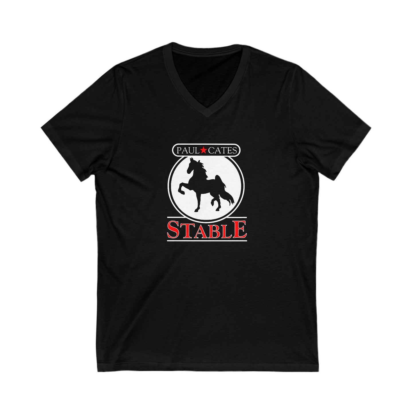 Premium Ladies V-Neck Tee