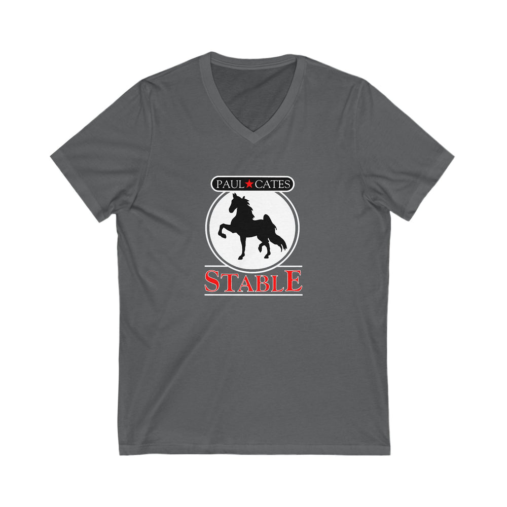 
                  
                    Premium Ladies V-Neck Tee
                  
                