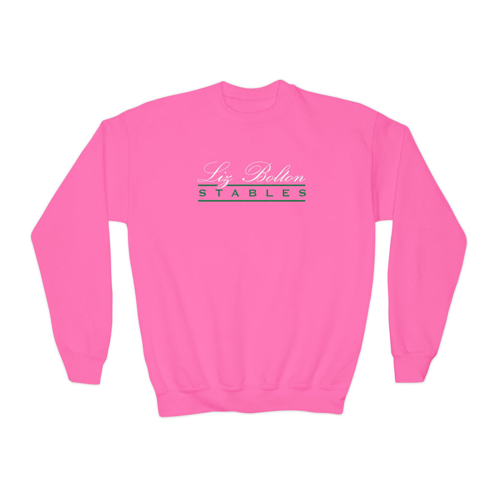 
                  
                    Classic Youth Crewneck Sweatshirt
                  
                