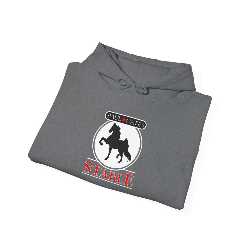 
                  
                    Unisex Heavy Blend™ Hoodie
                  
                
