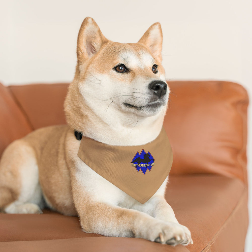 
                  
                    Dog Bandana with Collar
                  
                