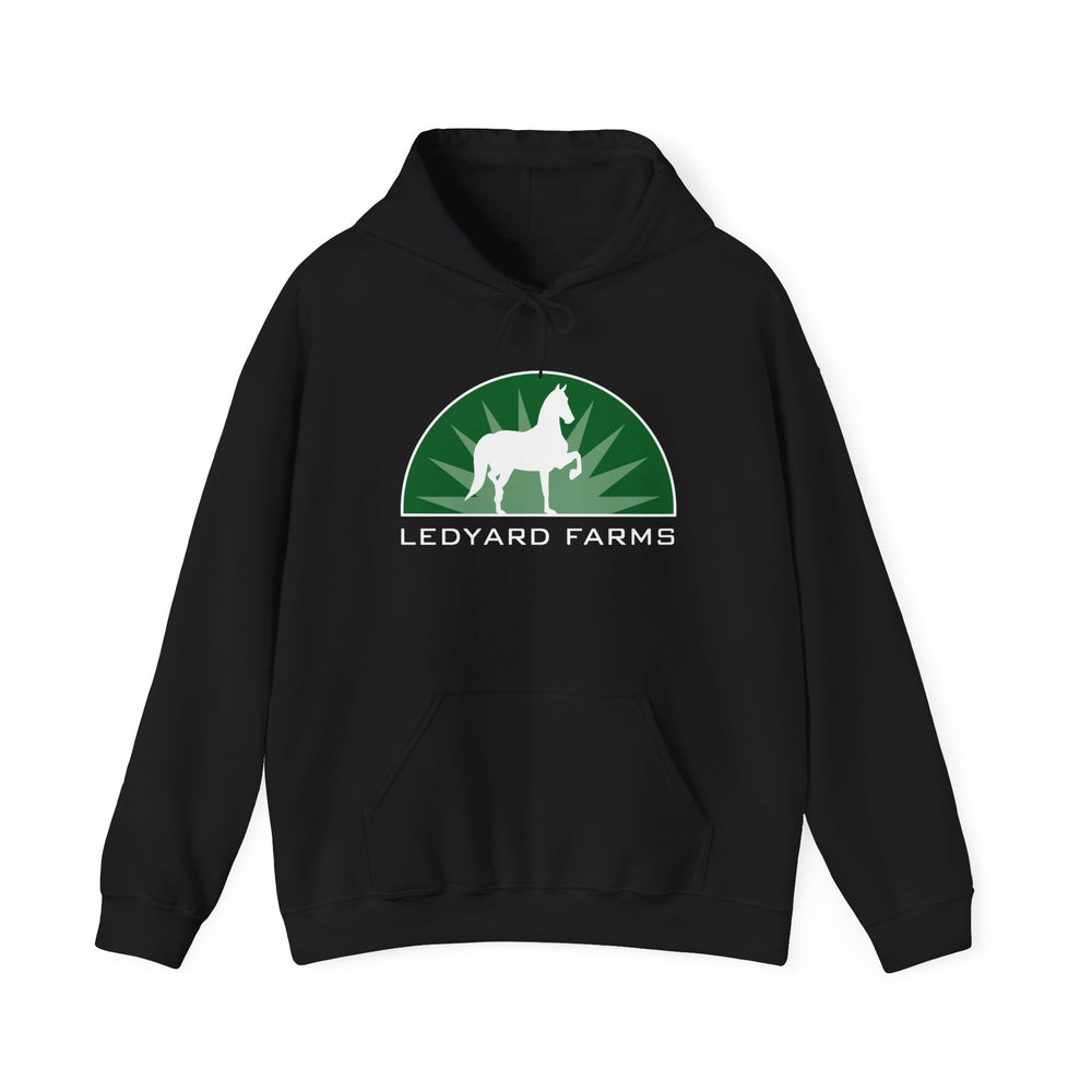 
                  
                    Unisex Heavy Blend™ Hoodie
                  
                