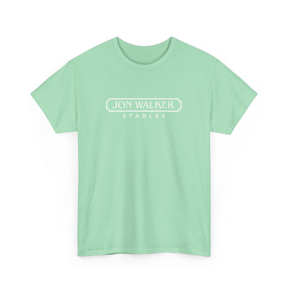 
                  
                    Classic Cotton Tee -- FUN COLORS
                  
                