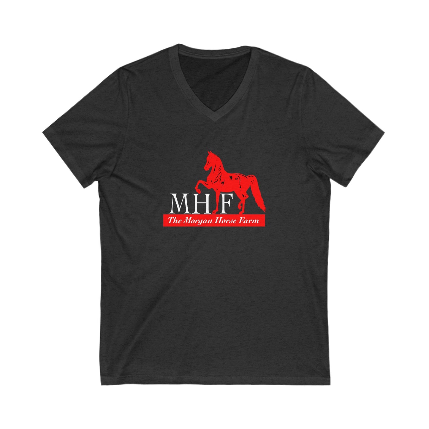 Premium Ladies V-Neck Tee