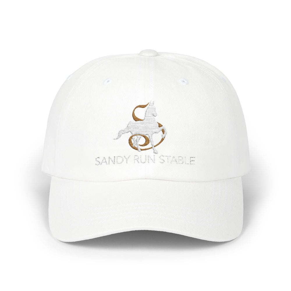 
                  
                    Embroidered Premium Hat
                  
                