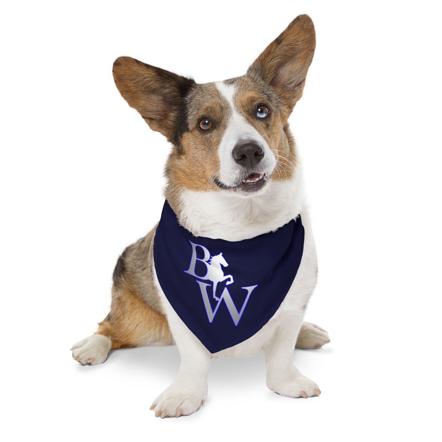 Dog Bandana with Collar