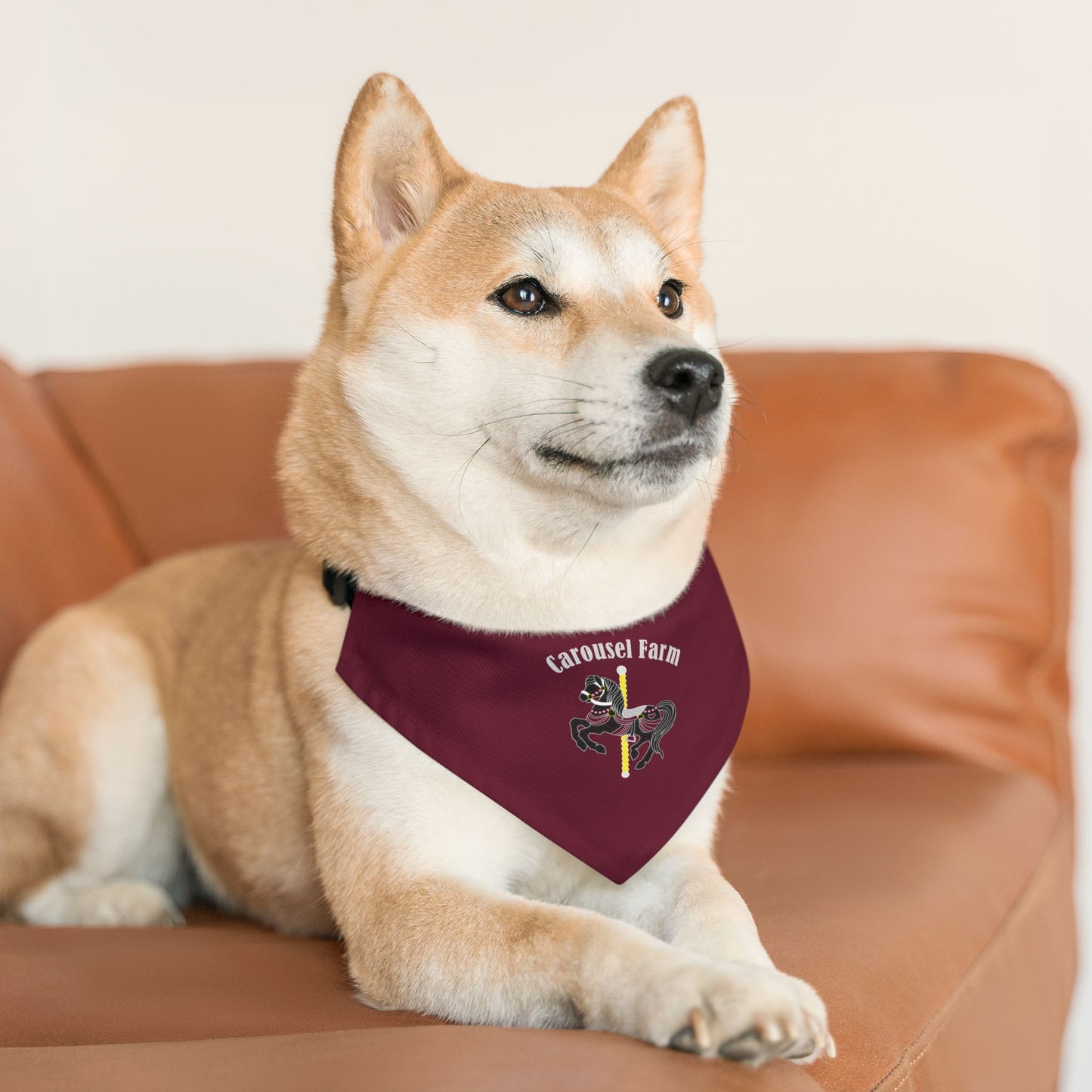 Dog Bandana with Collar