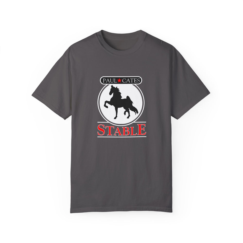 Comfort Colors Tee