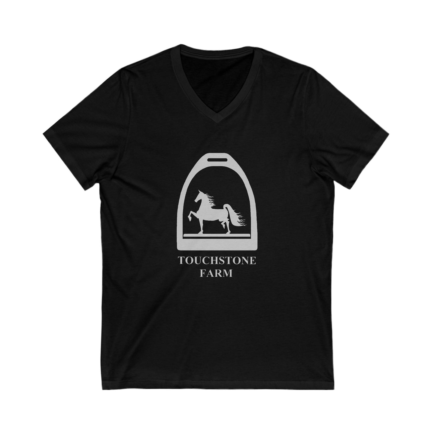 Premium Ladies V-Neck Tee