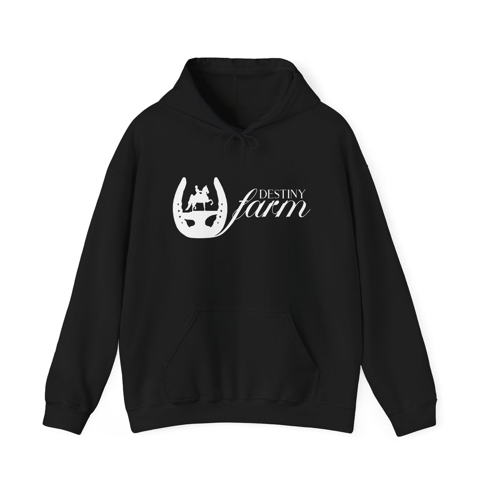Unisex Heavy Blend™ Hoodie
