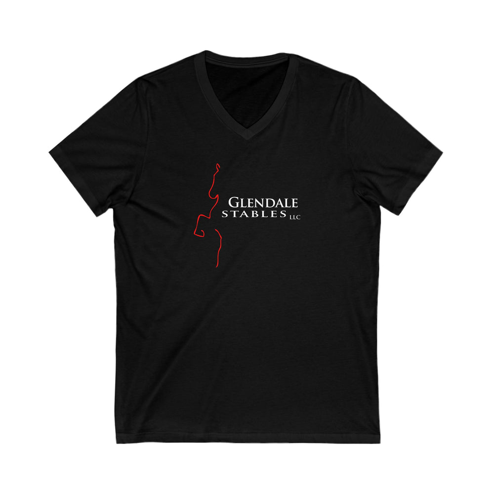 
                  
                    Premium Ladies V-Neck Tee
                  
                