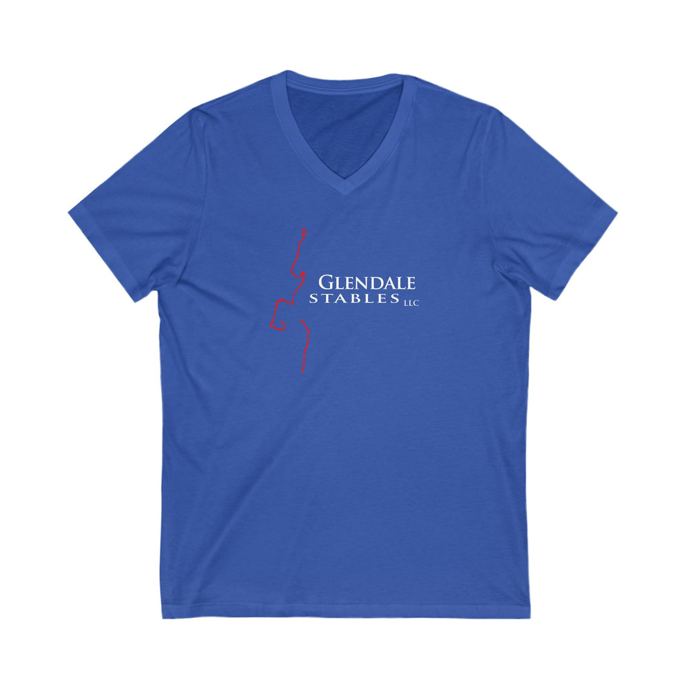 
                  
                    Premium Ladies V-Neck Tee
                  
                