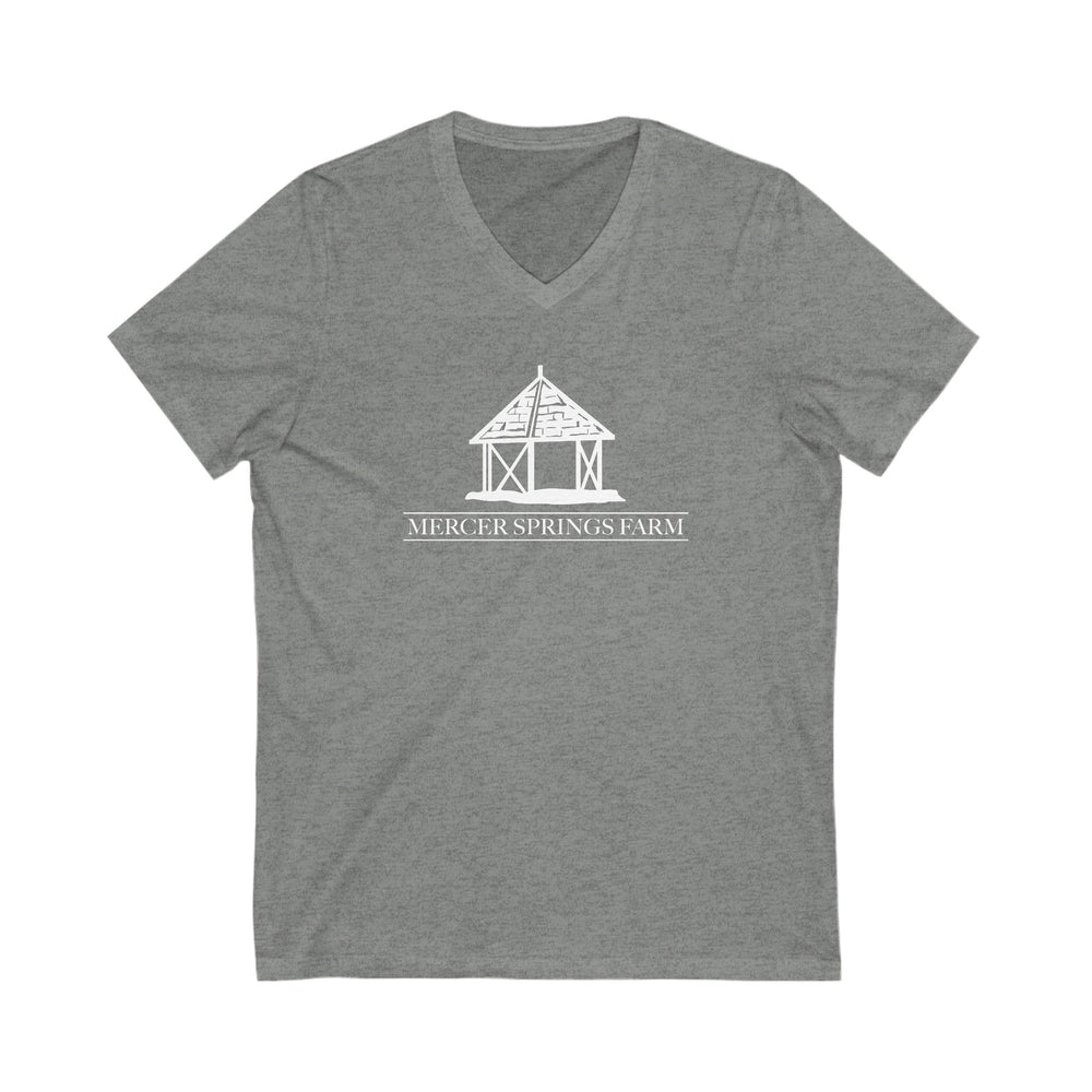 
                  
                    Premium Ladies V-Neck Tee
                  
                