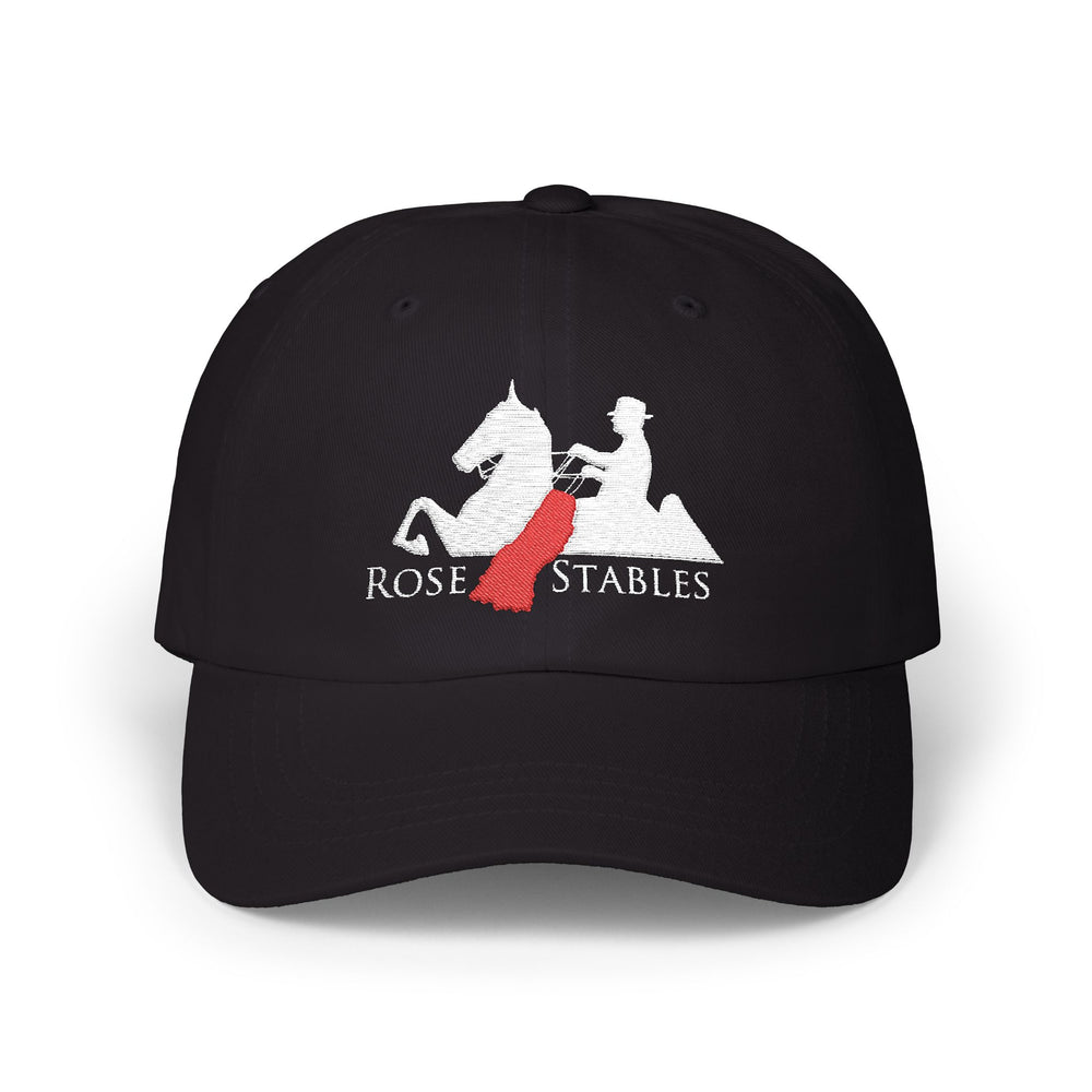 
                  
                    Embroidered Premium Hat
                  
                