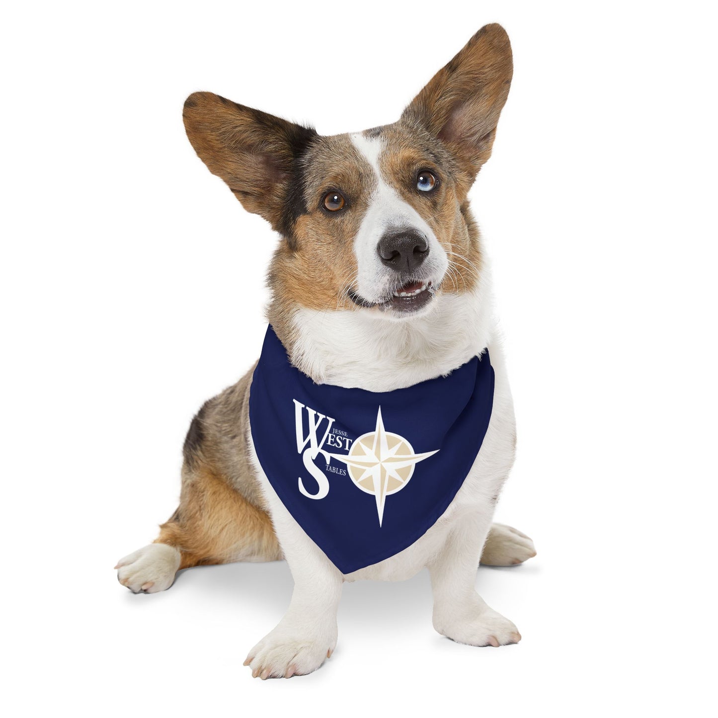 Dog Bandana with Collar