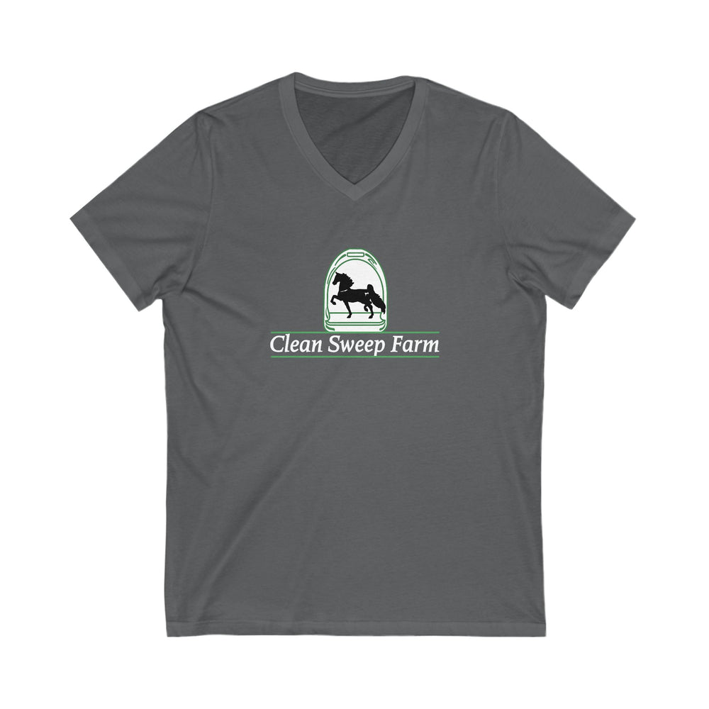 
                  
                    Premium Ladies V-Neck Tee
                  
                