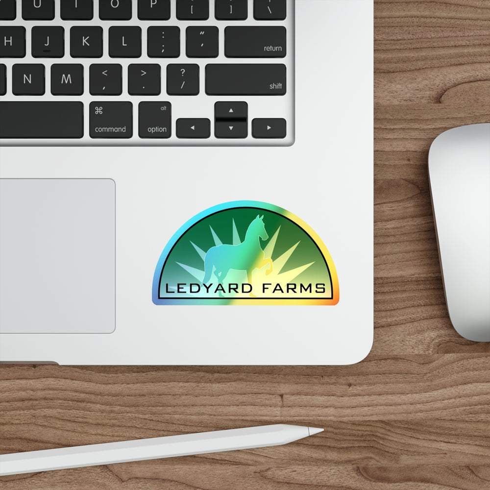
                  
                    Holographic Sticker 4"
                  
                